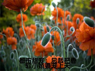 都市甜宠：总裁把香软小娇妻宠上天（温舒席凛）快手热推小说主角都市甜宠：总裁把香软小娇妻宠上天完整版在线阅读