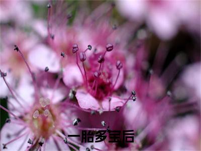  祝白芍李胜嘉小说（一胎多宝后，生子系统商城任我挑已完结小说全集完整版大结局）一胎多宝后，生子系统商城任我挑小说全文阅读笔趣阁