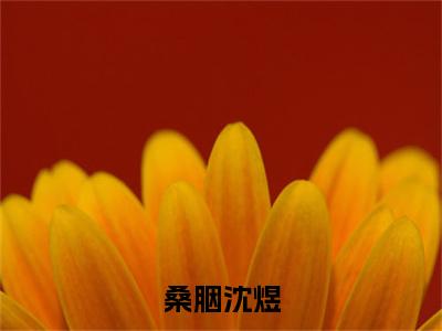 桑胭沈煜(沈煜桑胭)全文免费阅读无弹窗-(桑胭沈煜)沈煜桑胭小说全文在线赏析