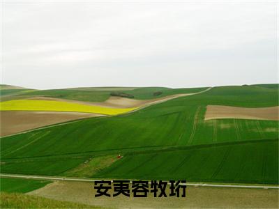 安夷容牧珩全文免费在线阅读_(安夷容牧珩免费阅读无弹窗)牧珩安夷容全文免费完结版阅读(安夷容牧珩)