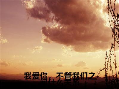 【新书】《我爱你，不管我们之间什么关系》全文免费阅读无弹窗大结局-盛晏和柯雪 全文全章节免费阅读