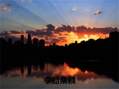 季皓桑楠是什么小说_主角是（桑楠季皓）的小说（季皓桑楠）最新章节无弹窗阅读