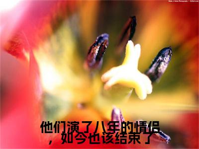 叶欣澜傅熠川他们演了八年的情侣，如今也该结束了完结小说-他们演了八年的情侣，如今也该结束了全文免费阅读无弹窗