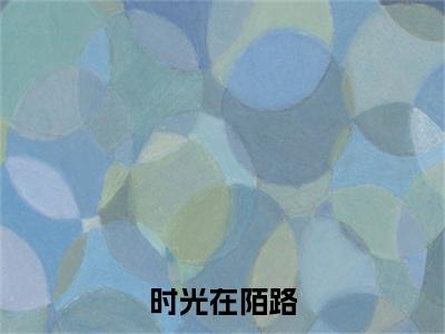 谢婉茹沈晚琛(时光在陌路最新全章节大结局)全文阅读-谢婉茹沈晚琛时光在陌路在线小说免费阅读