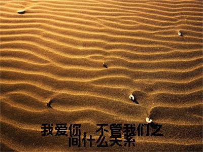 盛晏和柯雪（我爱你，不管我们之间什么关系小说）全文免费阅读无弹窗大结局_我爱你，不管我们之间什么关系全文免费阅读（盛晏和柯雪小说）最新章节列表_笔趣阁（我爱你，不管我们之间什么关系）
