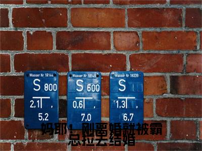  林志豪赵希楠快手小说（妈耶！刚离婚就被霸总拉去结婚）txt阅读大结局-抖音近期热门 林志豪赵希楠全文免费