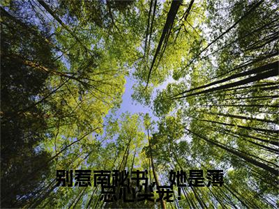 别惹南秘书，她是薄总心尖宠！小说（薄宴南织念）全文免费阅读无弹窗_别惹南秘书，她是薄总心尖宠！全文免费阅读无弹窗最新章节列表笔趣阁
