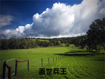 龙逸是什么小说盖世兵王-(盖世兵王全文阅读)最新章节列表