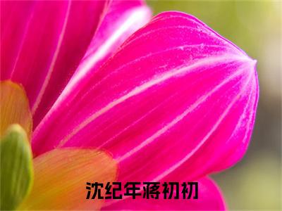 沈纪年蒋初初(蒋初初沈纪年)全文免费阅读大结局_沈纪年蒋初初最新章节列表_笔趣阁
