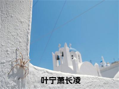盛宠为后：重生娇妃有点毒小说全文免费阅读 叶宁萧长凌免费完整版阅读
