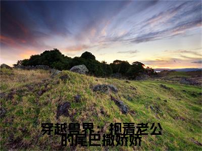 【新书】《 元珈罗阿瓦达》全文免费阅读无弹窗大结局-穿越兽界：抱着老公的尾巴撒娇娇全文全章节免费阅读