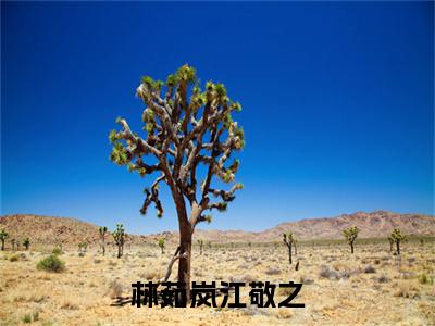 林茹岚江敬之全文免费阅读无弹窗大结局,江敬之林茹岚小说最新章节