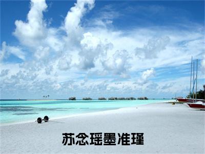 苏念瑶墨准瑾小说（墨准瑾苏念瑶)全文免费阅读无弹窗大结局_苏念瑶墨准瑾完整版最新阅读_笔趣阁（墨准瑾苏念瑶）
