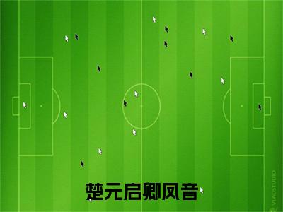 楚元启卿凤音（卿凤音楚元启）全文完整版免费阅读_卿凤音楚元启（楚元启卿凤音全文免费阅读）最新章节列表_笔趣阁（楚元启卿凤音）