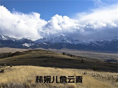 詹云青林婉儿在哪免费看 詹云青林婉儿结局是什么（林婉儿詹云青）小说无弹窗免费阅读