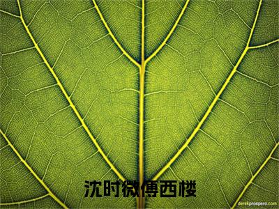 傅西楼沈时微(沈时微傅西楼)全文免费阅读无弹窗大结局_ 傅西楼沈时微免费阅读最新章节列表_笔趣阁
