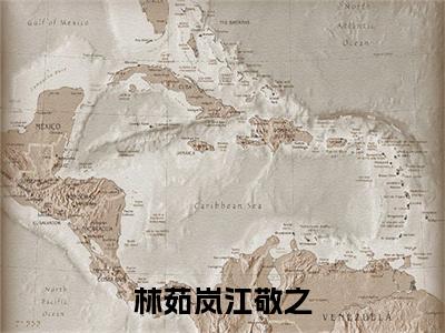 江敬之林茹岚小说(林茹岚江敬之)全文免费阅读无弹窗大结局_(江敬之林茹岚免费阅读全文大结局)最新章节列表_笔趣阁（林茹岚江敬之）