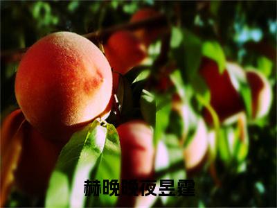 夜昱霆赫晚晚小说完整版阅读-（赫晚晚夜昱霆）小说全文免费阅读