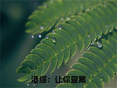 港综：让你查案，你吃大嫂软饭？（ 吴敬湄湄）全文免费阅读无弹窗大结局_ 吴敬湄湄最新章节列表_笔趣阁（港综：让你查案，你吃大嫂软饭？）