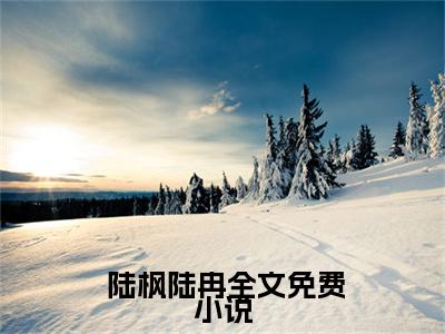  陆枫陆冉小说（拿下精英奖学金那天，不爱我的妈妈回来了）全文免费阅读_拿下精英奖学金那天，不爱我的妈妈回来了最新章节列表笔趣阁（ 陆枫陆冉）