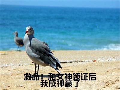 救命！和女神领证后我成神豪了知乎小说全文免费阅读_（ 洛冰凝林天）救命！和女神领证后我成神豪了完结版在线阅读最新章节列表笔趣阁
