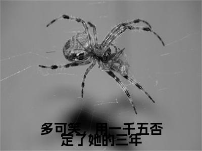 多可笑，用一千五否定了她的三年（夏潇潇陆则修）高质量小说免费阅读_多可笑，用一千五否定了她的三年最新章节列表_笔趣阁