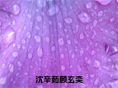 顾玄奕沈辛茹（沈辛茹顾玄奕）小说全文无删减版在线阅读_沈辛茹顾玄奕（顾玄奕沈辛茹无弹窗）_笔趣阁