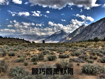 顾巧颜萧默景（萧默景顾巧颜）全文免费阅读无弹窗大结局_顾巧颜萧默景在线阅读笔趣阁(萧默景顾巧颜）