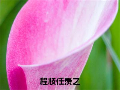 程枝任羡之小说(任羡之程枝)全文免费阅读无弹窗大结局_(任羡之程枝)程枝任羡之最新章节列表(任羡之程枝)