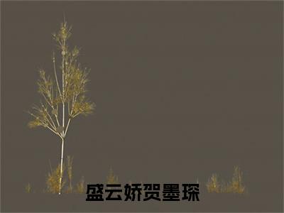 盛云娇贺墨琛（贺墨琛盛云娇）全章节完整版免费小说_盛云娇贺墨琛最新章节在线阅读_笔趣阁