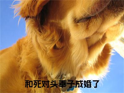 和死对头奉子成婚了（ 裴月凌砚）全文免费阅读无弹窗大结局_（ 裴月凌砚免费阅读全文大结局)最新章节列表_笔趣阁（和死对头奉子成婚了）
