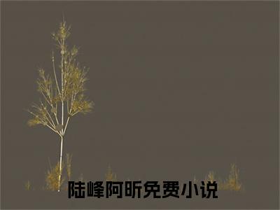 被分手后，他打赏返利成富豪全文免费阅读（ 陆峰阿昕免费阅读无弹窗）被分手后，他打赏返利成富豪最新章节列表_笔趣阁