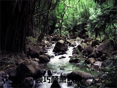 萧默景顾巧颜免费阅读无弹窗大结局,顾巧颜萧默景最新章节