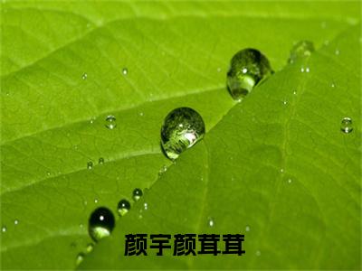 怀崽后，财阀大佬把我娶回家（ 颜宇颜茸茸）全文免费阅读无弹窗大结局_( 颜宇颜茸茸)怀崽后，财阀大佬把我娶回家免费阅读无弹窗最新章节列表_笔趣阁（怀崽后，财阀大佬把我娶回家）