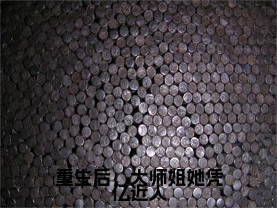 苏蝉衣(重生后,大师姐她凭亿近人)全文免费阅读无弹窗大结局_(苏蝉衣)重生后,大师姐她凭亿近人小说在线阅读无删减