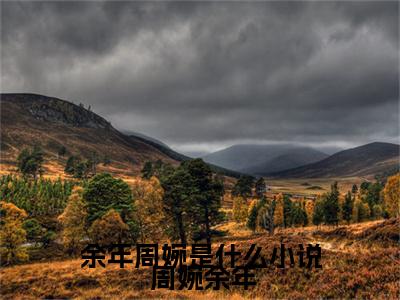  周婉余年小说全文免费阅读_ 周婉余年（余年周婉是什么小说）最新章节列表笔趣阁