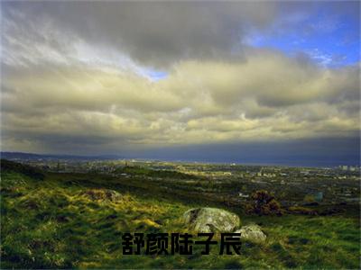 舒颜陆子辰全本资源免费阅读结局无删节主角：陆子辰舒颜小说全文阅读无弹窗