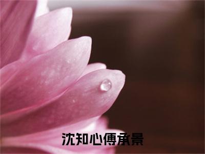 傅承景沈知心完整版（沈知心傅承景小说）全文免费阅读无弹窗大结局_沈知心傅承景最新章节（傅承景沈知心小说）