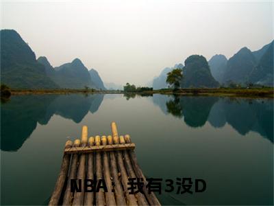 NBA：我有3没D，还不会运球小说全文免费阅读无弹窗-（ 科比林飞阅读无弹窗）穿越小说免费阅读_笔趣阁