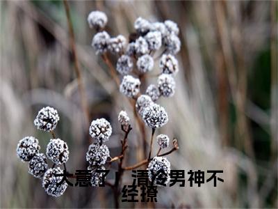 大意了！清冷男神不经撩（ 沈琏央如）免费阅读完整版-（大意了！清冷男神不经撩小说） 沈琏央如全文大结局已完结