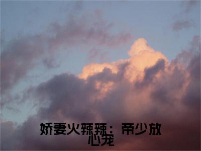 娇妻火辣辣：帝少放心宠（ 楚宇轩赵雅楠）全文免费阅读无弹窗大结局_ 楚宇轩赵雅楠( 楚宇轩赵雅楠小说免费阅读)_笔趣阁