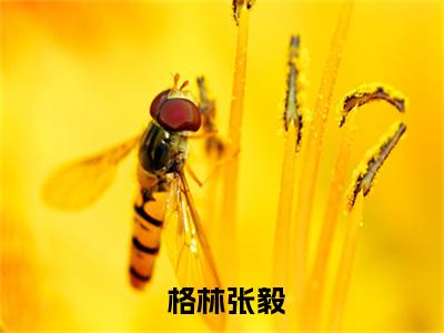 万亩山林断水，你挖内陆湖？阅读无弹窗大结局_ 格林张毅穿越小说免费阅读_笔趣阁