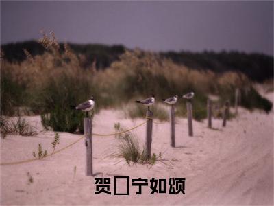 （ 贺玥宁如颂）热门美文阅读_热门小说成亲当晚，偏执太子夺我入东宫主人公是（ 贺玥宁如颂）最新章节限时观看_笔趣阁