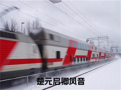 卿凤音楚元启（楚元启卿凤音）最新免费小说（卿凤音楚元启）全文大结局-楚元启卿凤音今日已更新最新章节