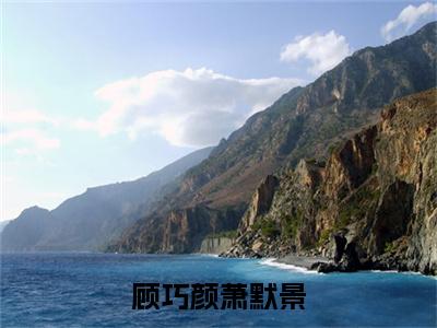 顾巧颜萧默景全文(萧默景顾巧颜)全文免费阅读无弹窗大结局_萧默景顾巧颜全文最新章节列表_笔趣阁(顾巧颜萧默景)