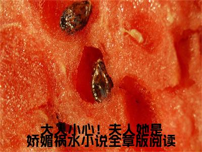 大人小心！夫人她是娇媚祸水小说全章版阅读最新热门榜单小说- 萧凛万樱全文无弹窗免费阅读大结局
