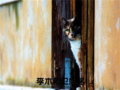 主人公叫（卫旭铭李木希）的小说（李木希卫旭铭）免费阅读最新章节列表_笔趣阁