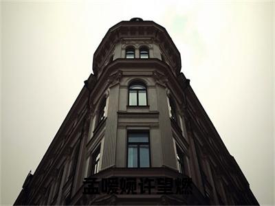 主角叫孟嗳婉许望燃的小说-（孟嗳婉许望燃）孟嗳婉许望燃全文无弹窗完整版阅读