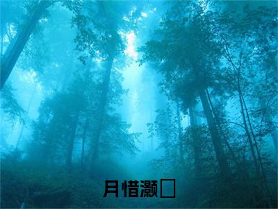 月惜灏璟小说（灏璟月惜）全文免费阅读无弹窗_月惜灏璟全文免费阅读无弹窗最新章节列表笔趣阁