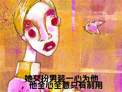 她女扮男装一心为他,他全心全意只有利用(宋观锦殷景怀)小说全文免费阅读正版无弹窗_(宋观锦殷景怀)最新章节列表笔趣阁
